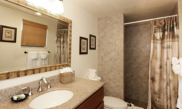 Beso Del Sol One Bedroom Suite Pic 5